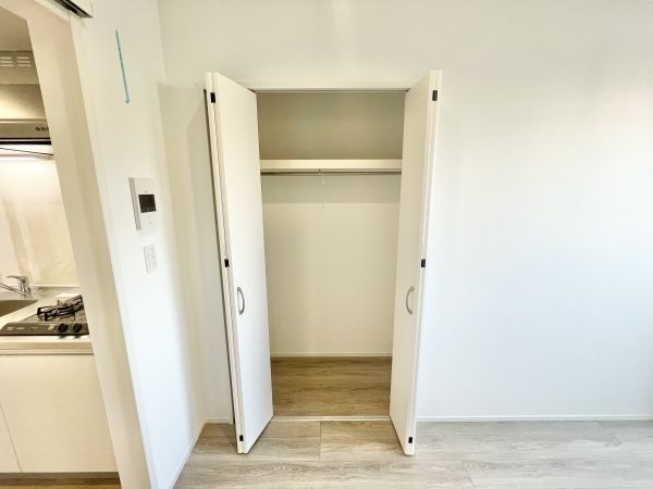 リュクスシティー黄金1階1K 収納の画像