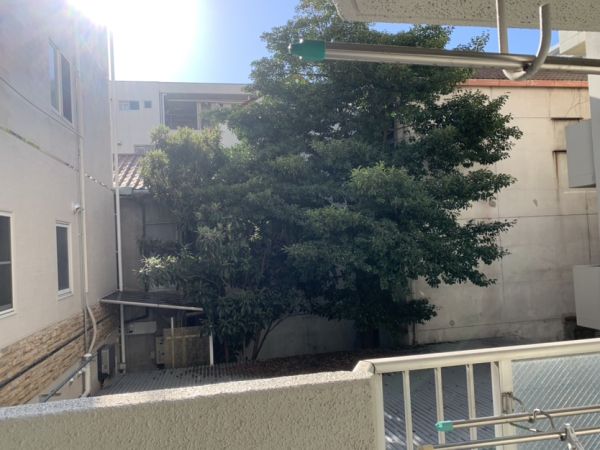 サンハイツ堺2階2LDK 景観の画像