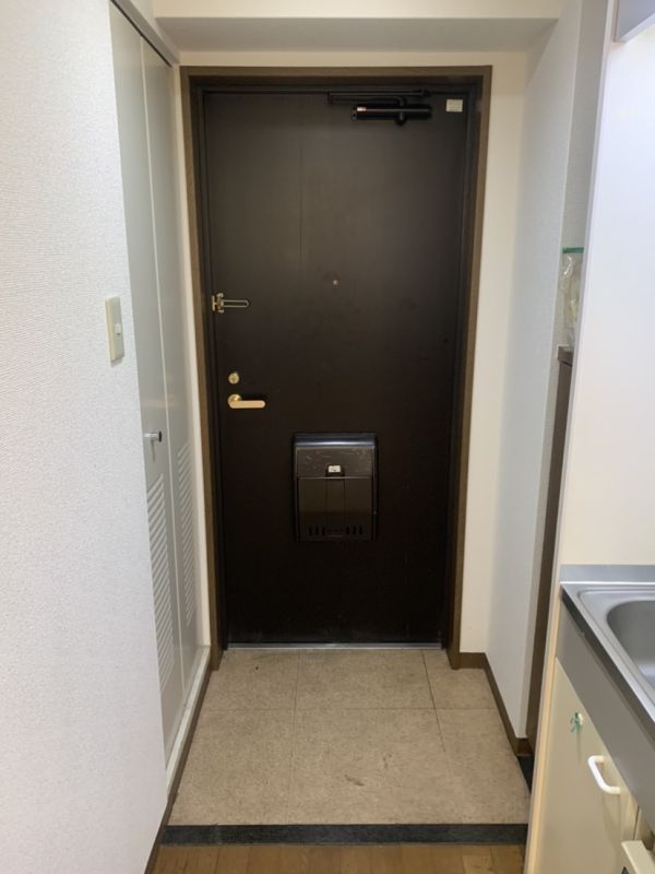 プレサンス阿倍野阪南町3階1K 玄関の画像