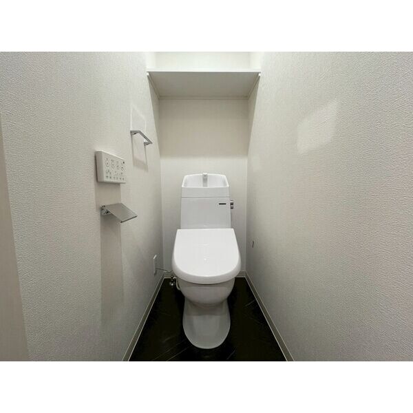 Muse ZioⅤ3階1LDK トイレの画像