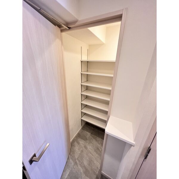 スプランディッド城東関目9階2LDK 収納の画像