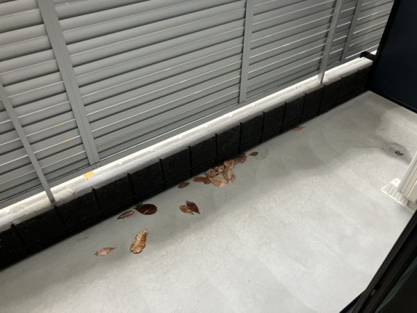 プルメリア阪大前1階1K ベランダの画像