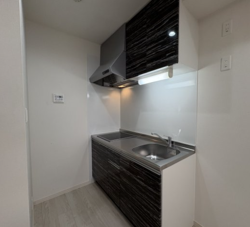 Muse ZioⅤ1階1LDK キッチンの画像