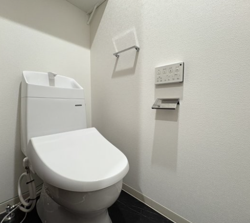 Muse ZioⅤ1階1LDK トイレの画像