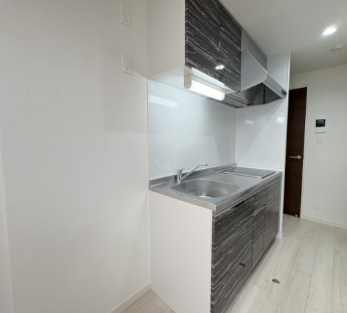 Muse ZioⅤ1階1LDK キッチンの画像