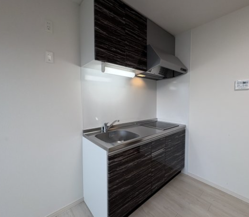 Muse ZioⅤ1階1LDK キッチンの画像