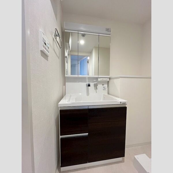 ディエスベアティ久宝寺口10階1LDK 洗面所の画像