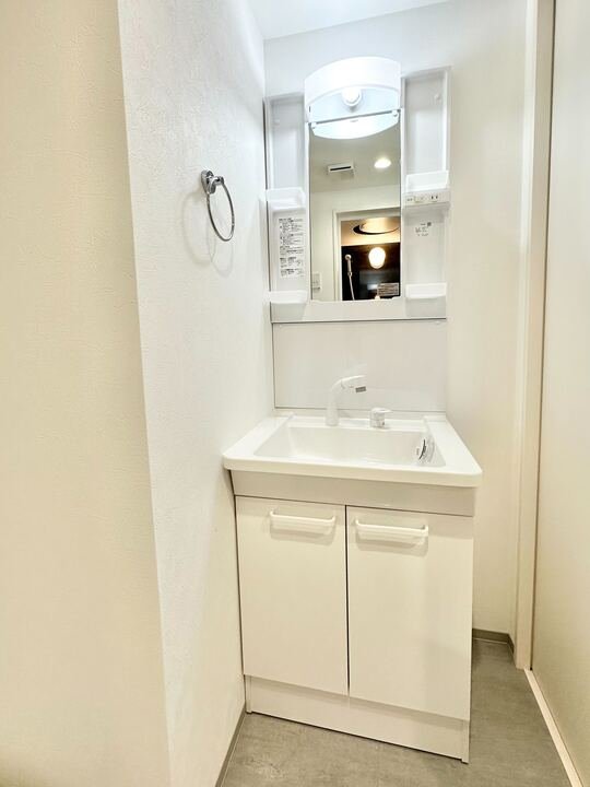 robot home 鶴里 The Park1階1LDK 洗面所の画像