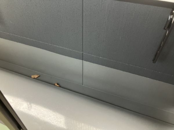 プルメリア阪大前3階1K ベランダの画像