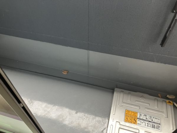 プルメリア阪大前3階1K ベランダの画像