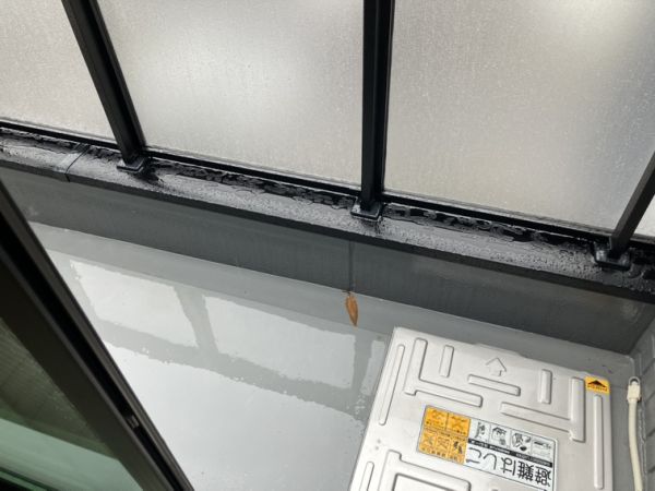 プルメリア阪大前3階1K ベランダの画像