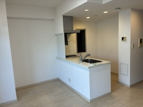 ダイナシティ北浜9階1LDK 部屋①の画像