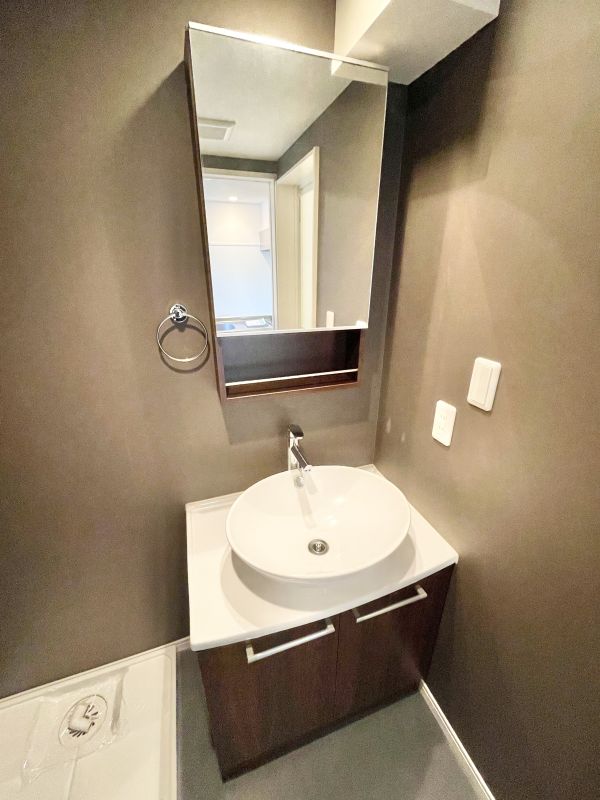 エスポワール堀田2階1R 洗面所の画像