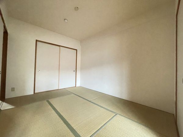 ＦＲＥＡ はい・２１3階3LDK 部屋②の画像