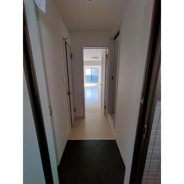 セレニティ八雲北町２丁目3階1LDK 玄関の画像