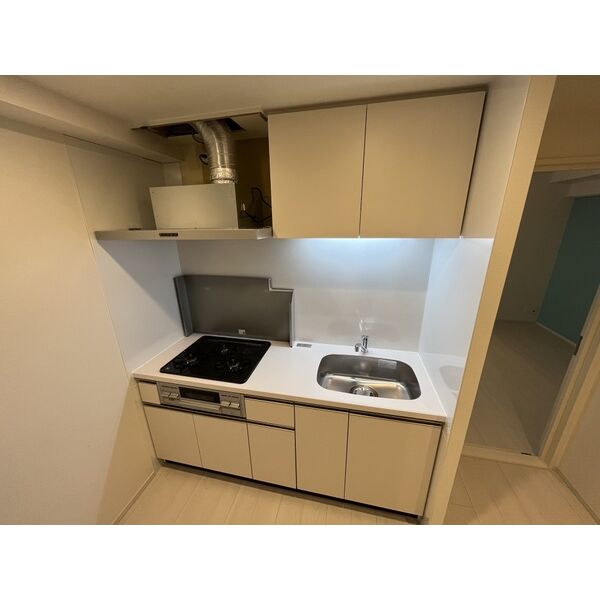 THE MUSIC COURT2階3K キッチンの画像