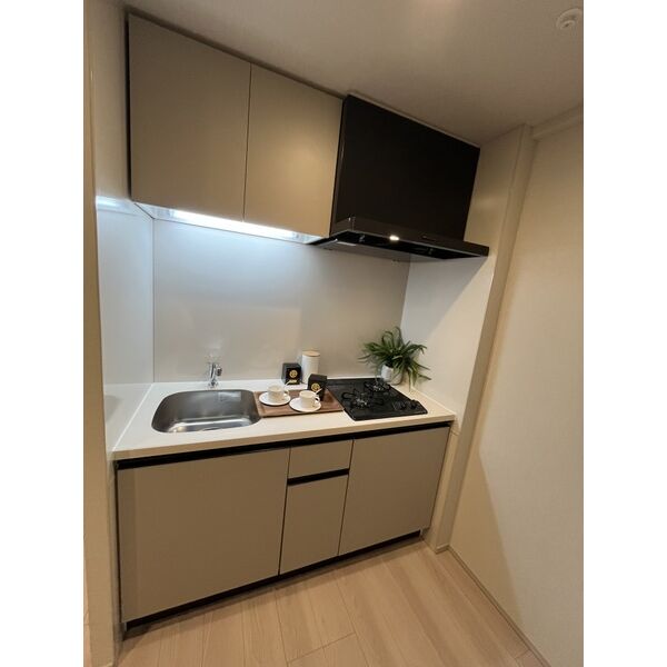 THE MUSIC COURT6階2K キッチンの画像