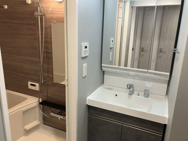 ブランシエスタ南吹田パークサイド2階1LDK 洗面所の画像