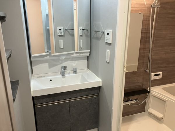 ブランシエスタ南吹田パークサイド2階1LDK 洗面所の画像