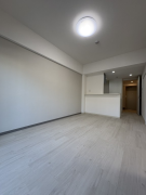 アストラルグラミ阿倍野1階1LDK リビングの画像