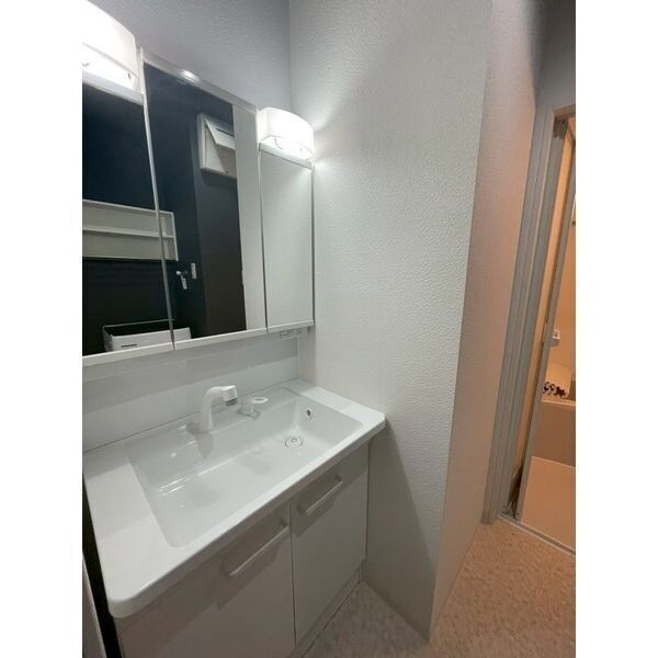 エヌエムキャトフヴァン1階1R 洗面所の画像