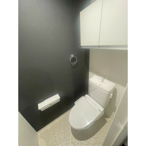 エヌエムキャトフヴァン10階1R トイレの画像