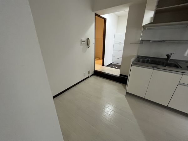 グレイスイン天満2階1LDK 部屋②の画像