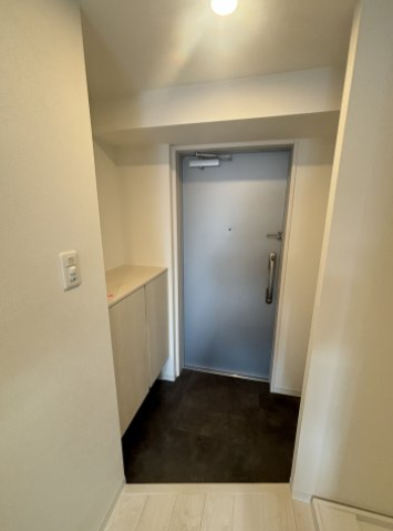 エグゼ大阪DOMECITYシエル2階1K 玄関の画像