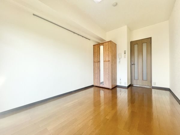 ラフォーレ竹山3階1K リビングの画像