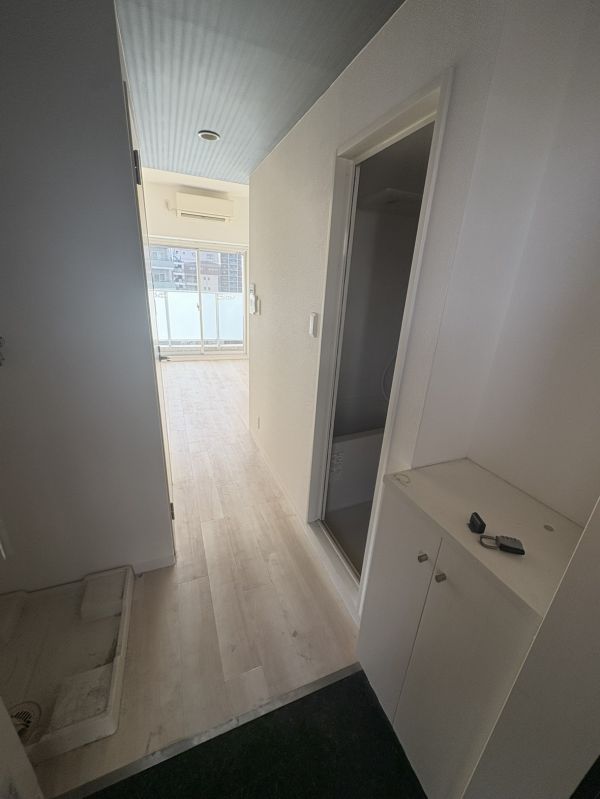 エルミタージュ難波南V2階1R 玄関の画像