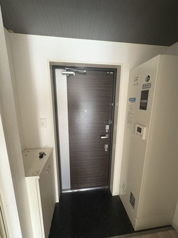 エルミタージュ難波南V6階1R 玄関の画像