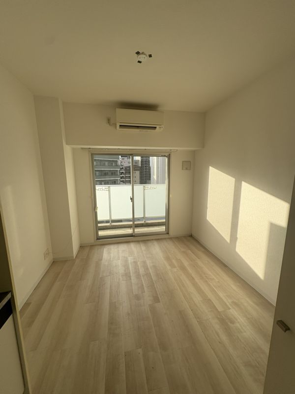 エルミタージュ難波南V7階1R 部屋①の画像
