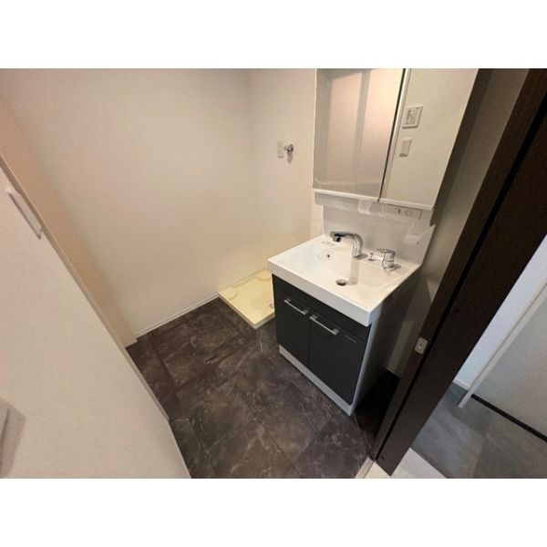 ＲＮ平野3階1K 洗面所の画像