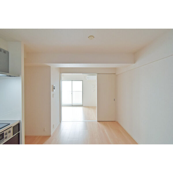 	リアライズ今里南09階1LDK リビングの画像