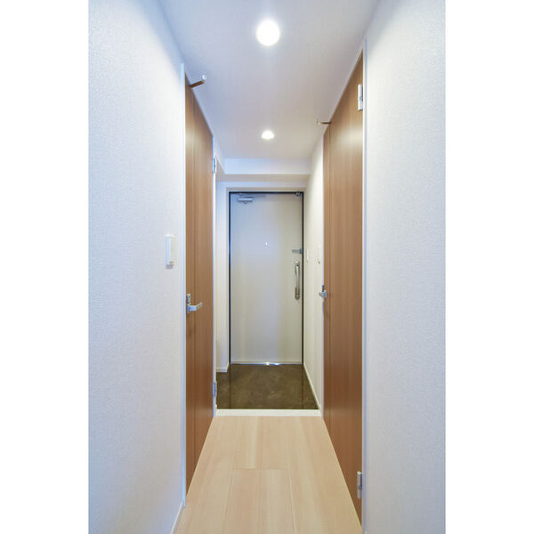 	リアライズ今里南9階1LDK 玄関の画像