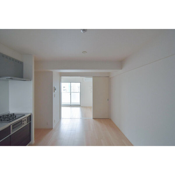 	リアライズ今里南09階1LDK リビングの画像