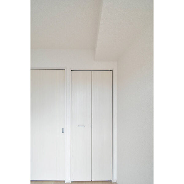 	リアライズ今里南09階1LDK 収納の画像