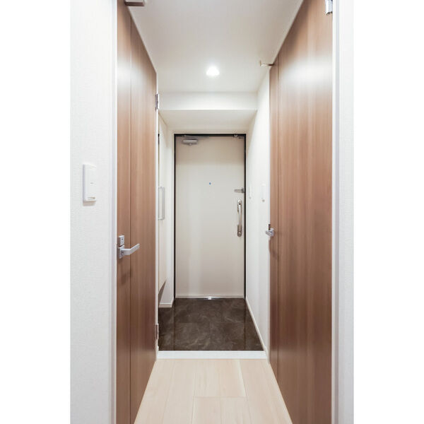 	リアライズ今里南1階1LDK 玄関の画像