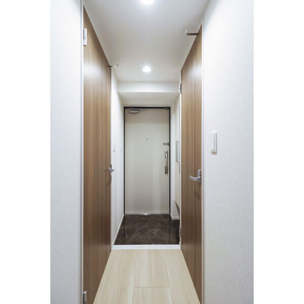 	リアライズ今里南1階1LDK 玄関の画像