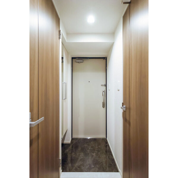 	リアライズ今里南1階1LDK 玄関の画像