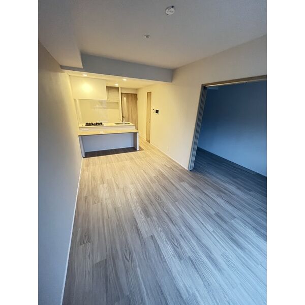 スプランディッド天王寺SOUTH2階1LDK リビングの画像