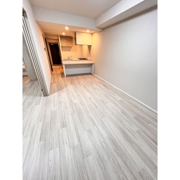 スプランディッド天王寺SOUTH2階1LDK 部屋①の画像