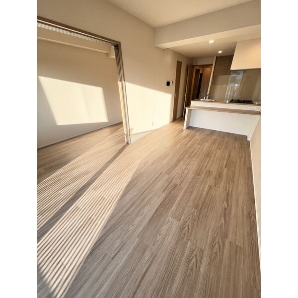 スプランディッド天王寺SOUTH6階1LDK リビングの画像