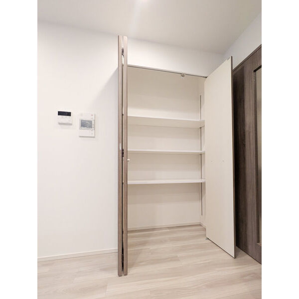 ルフォンプログレ南森町9階2LDK 収納の画像