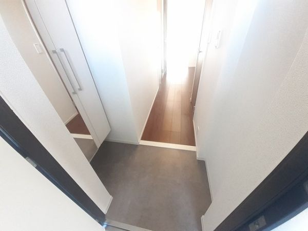 セイント野並4階1K 玄関の画像