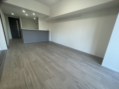 ルクスエテルナ江戸堀7階1LDK リビングの画像