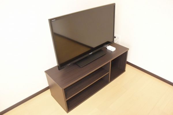 レオネクスト宝2階1K その他①の画像