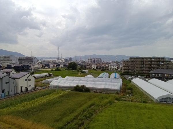 伊丹池尻 1号棟5階3DK 景観の画像