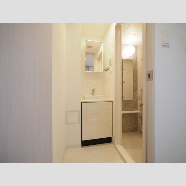 エスリード難波VALORE09階1K 洗面所の画像