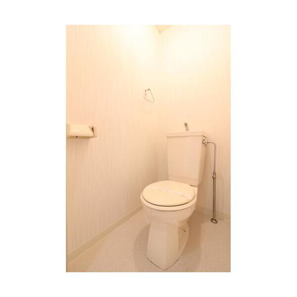 ジェネス高井田04階1R トイレの画像